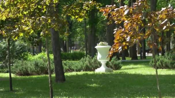 Gomel Beyaz Rusya Mayıs 2019 Rumyantsevs Paskevichi Nin Saray Park — Stok video