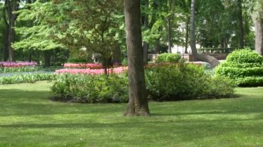 Gomel, Beyaz Rusya - 15 Mayıs 2019: Rumyantsevs Paskevichi'nin saray ve park topluluğu. Rahat yeşil park.