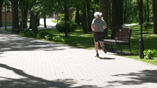 Gomel Belarus May 2019 Palace Park Ensemble Paskevichi Man Jogging — Stock Video