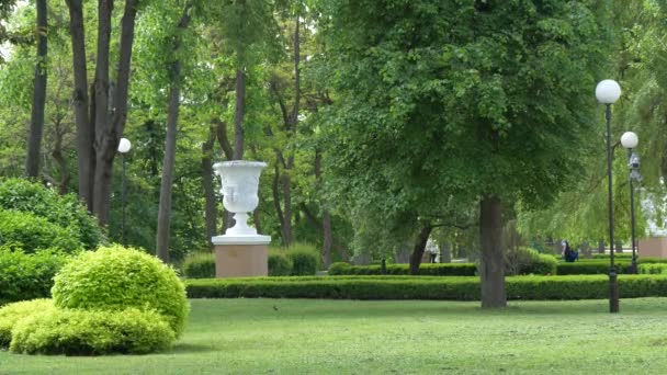戈梅尔 白俄罗斯 2019年5月15日 鲁米扬采夫斯帕斯切维奇宫和公园合奏 舒适的绿色公园 — 图库视频影像
