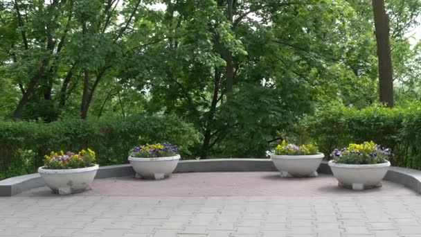 Gomel Wit Rusland Mei 2019 Paleis Park Ensemble Van Rumyantsevs — Stockvideo