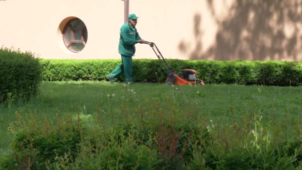 ゴメル ベラルーシ 2019年5月15日 宮殿と公園のアンサンブルパスセビチ 男は芝刈り機を刈る — ストック動画