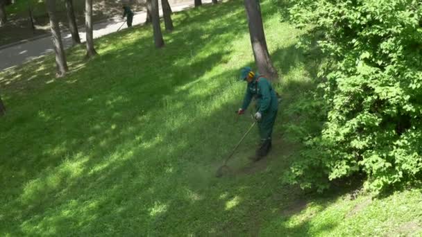 Gomel Belarus May 2019 Palace Park Ensemble Paskevichi Man Mows — Stock Video