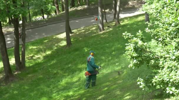 Gomel Belarus Maio 2019 Palácio Parque Conjunto Paskevichi Homem Corta — Vídeo de Stock