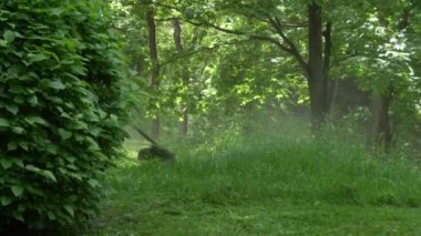 Gomel, Beyaz Rusya - 15 Mayıs 2019: Saray ve park topluluğu Paskevichi. Bir adam çim biçme makinesi ni biçer..