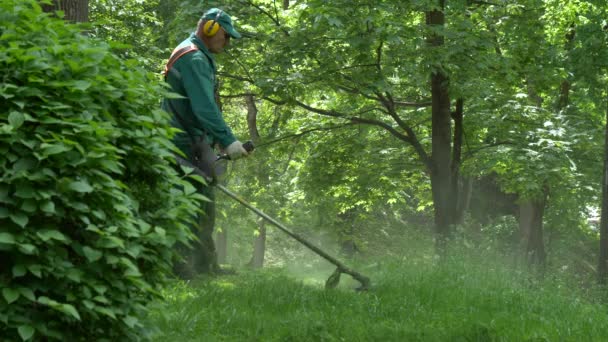 ゴメル ベラルーシ 2019年5月15日 宮殿と公園のアンサンブルパスセビチ 男は芝刈り機を刈る — ストック動画