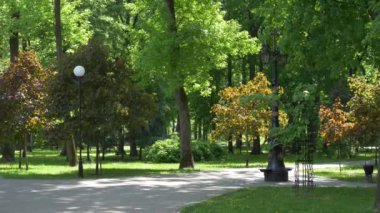 Gomel, Beyaz Rusya - 15 Mayıs 2019: Rumyantsevs Paskevichi'nin saray ve park topluluğu. Rahat yeşil park.