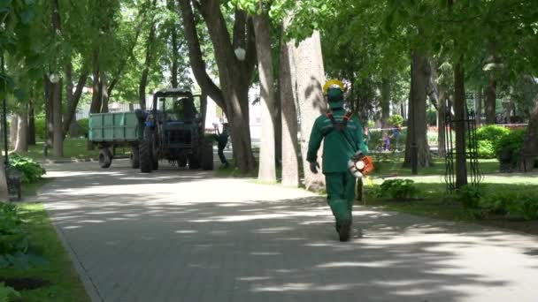 Gomel Belarus Maio 2019 Palácio Parque Conjunto Paskevichi Homem Corta — Vídeo de Stock