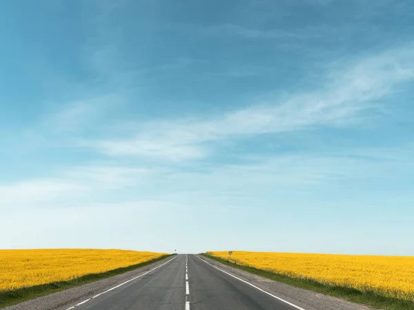 Highway among rapeseed yellow field against a blue sky — Stock Photo, Image