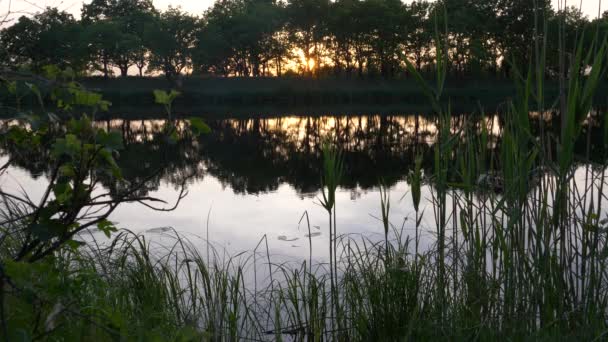 Puesta Sol Sobre Río Los Rayos Del Sol Tarde — Vídeo de stock