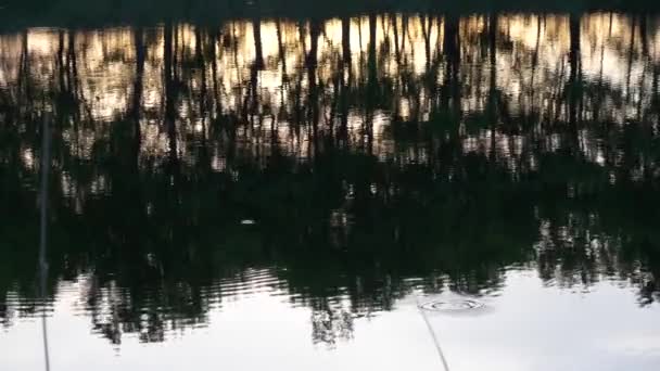 Solnedgång Över Floden Strålar Kvällssolen — Stockvideo