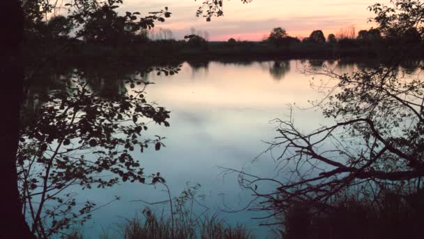 夕方の太陽の光の中で川の上に日没 — ストック動画