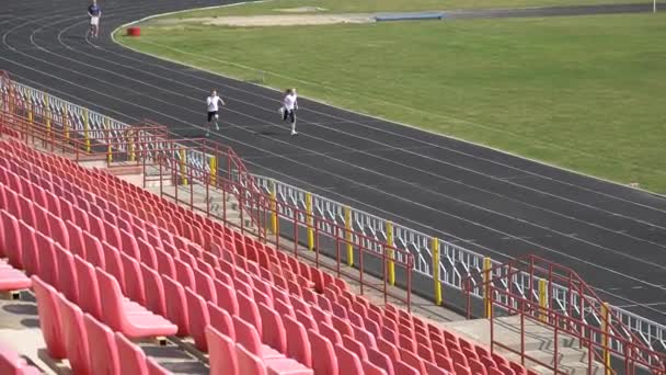 Gomel Bělorusko Květen 2019 Open Republikánský Akrobatický Konkurenční Boj Speciální — Stock video