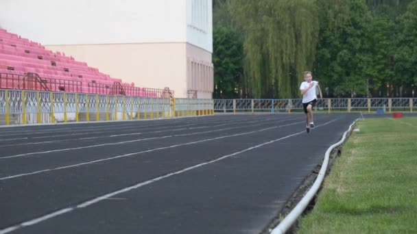 Gomel Belarus Mayo 2019 Concurso Republicano Abierto Freestyle Para Entrenamiento — Vídeos de Stock