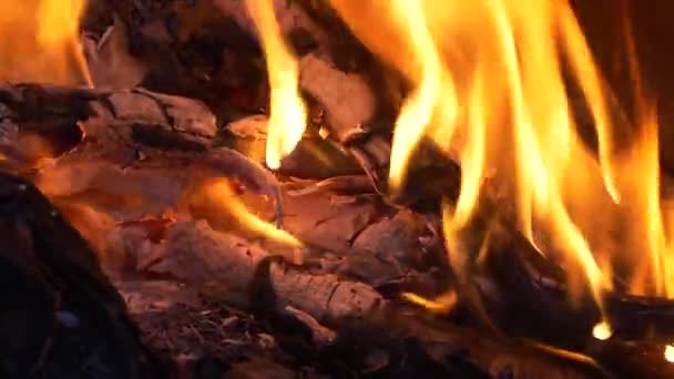 Flammes Rouges Sur Les Charbons Chauds Feu — Video