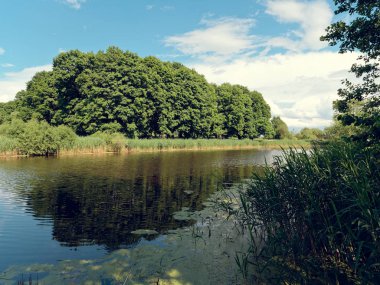 sakin bir orman gölü üzerinde yaz manzara
