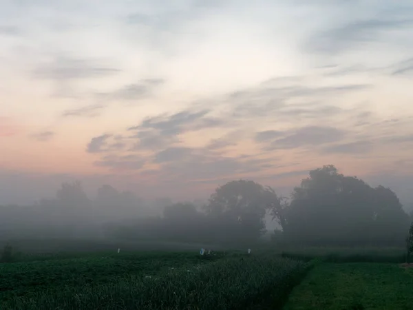 Niebla al amanecer sobre un campo de tierras de cultivo — Foto de Stock