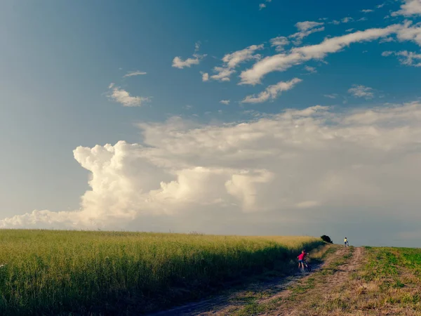 A child on a bicycle. beautiful white clouds in the sky float above the field. — Stock Photo, Image