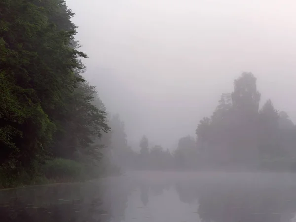 Brouillard sur le lac forestier au lever du soleil en été — Photo