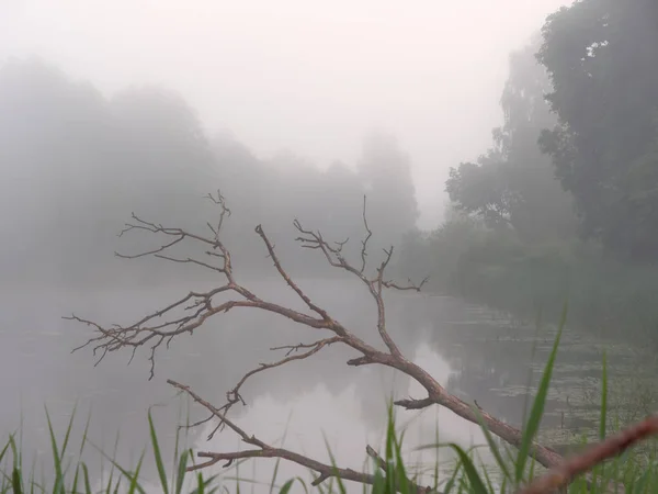 Brouillard sur le lac forestier au lever du soleil en été — Photo