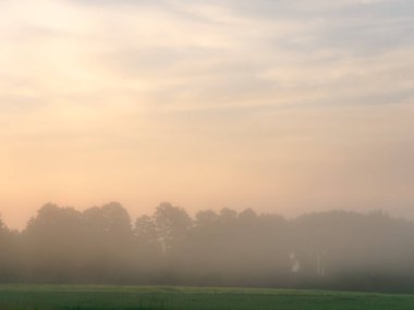 tarım arazisi bir alanda şafakta sis