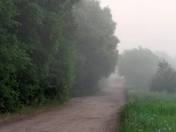 A napkelte nyáron országúti köd felett — Stock Fotó