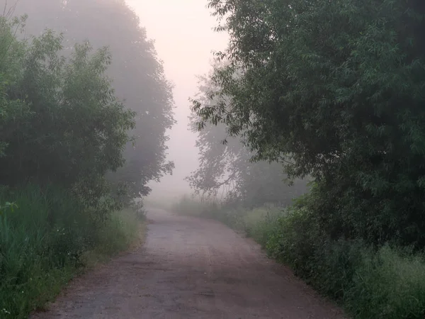 Ventana del arco de los árboles. niebla al amanecer — Foto de Stock