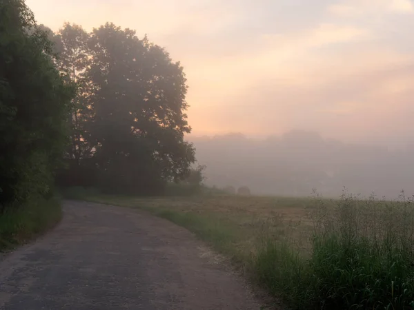 Fog over country road at sunrise in summer — Stock Photo, Image