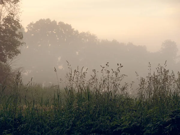 Niebla al amanecer sobre un campo de tierras de cultivo — Foto de Stock