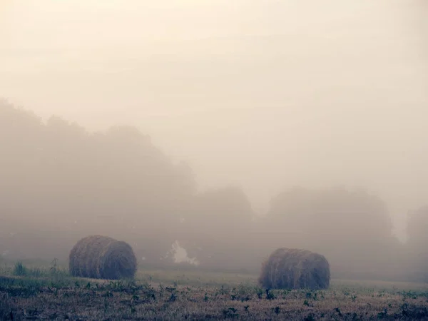 Fog at dawn over a field of farmland — Stock Photo, Image