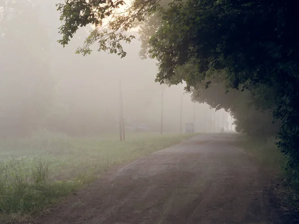 Brouillard sur la route de campagne au lever du soleil en été — Photo