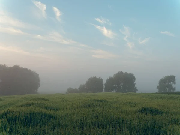 Niebla al amanecer sobre un campo de tierras de cultivo — Foto de Stock