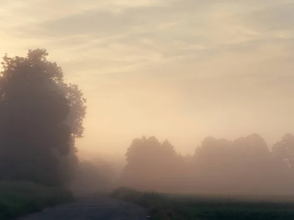 Brouillard sur la route de campagne au lever du soleil en été — Photo