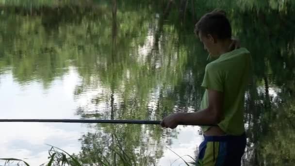 Adolescente Niño Atrapa Una Caña Pescar Estanque — Vídeos de Stock