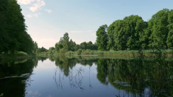 paysage estival sur un lac forestier calme 