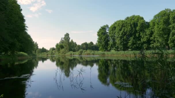 Paisaje Verano Lago Bosque Tranquilo — Vídeos de Stock