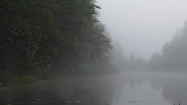 Dimma Över Forest Lake Vid Soluppgången Sommaren — Stockvideo