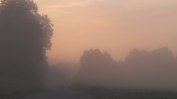 brouillard sur la route de campagne au lever du soleil en été 