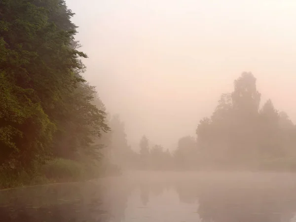 Туман над лесным озером на рассвете летом — стоковое фото