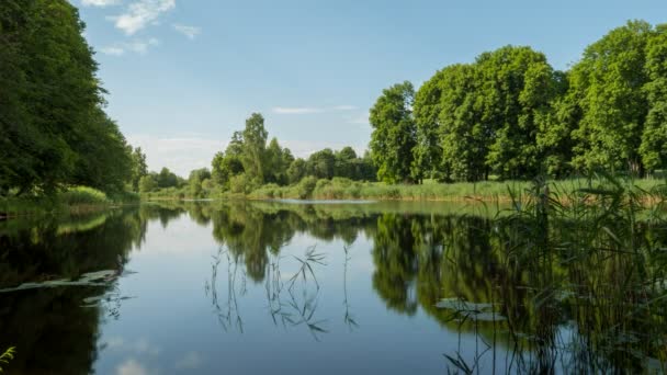 paysage estival sur un lac forestier calme 