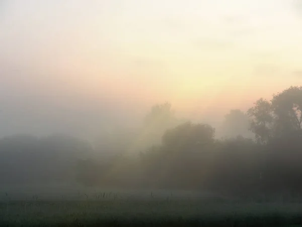 Mgła o świcie na polu gruntów rolnych — Zdjęcie stockowe