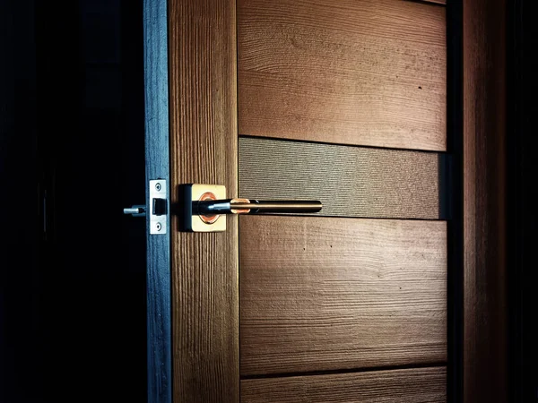 Puertas interiores de madera con mango de metal — Foto de Stock