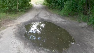 Yaz aylarında yeşil kalınlar orman yolu