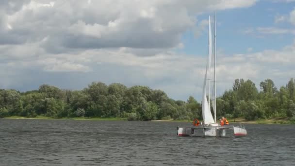 游艇双体船与帆在风景如画的湖上 — 图库视频影像