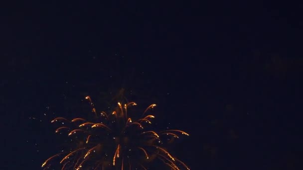Fuegos artificiales brillantes festivos en el cielo oscuro — Vídeos de Stock