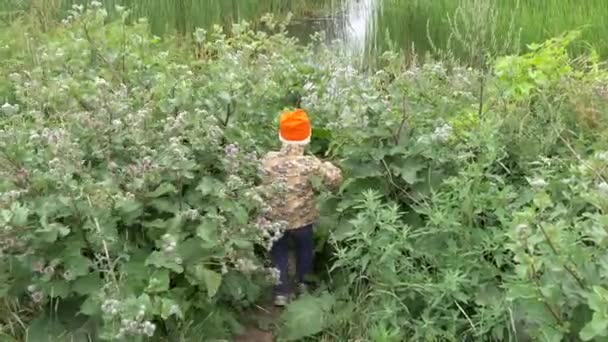 Der Junge Ist Auf Einem Sehr Zugewachsenen Pfad — Stockvideo