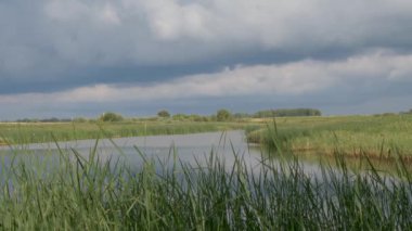 Göller üzerinde fırtına bulutlar sazlık ile