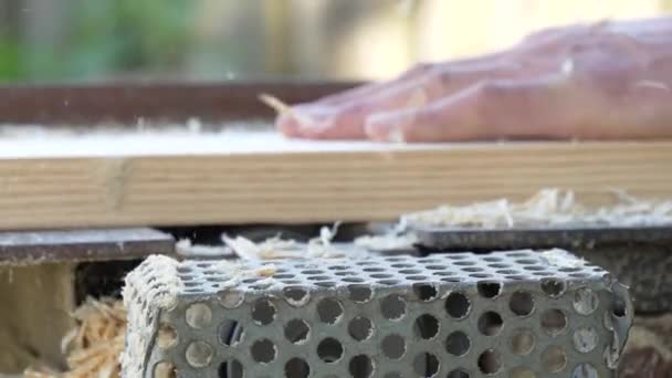 Bir Ağaç Işleme Makinesi Üzerinde Bir Tahta Planlama Adam — Stok video