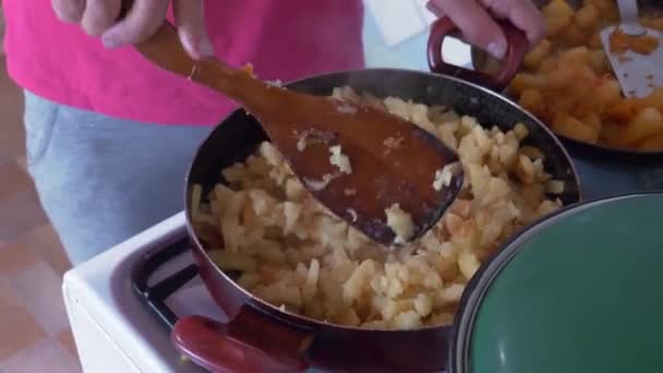 Kadın Bir Tava Kızarmış Patates Kadar Karıştırıyor — Stok video