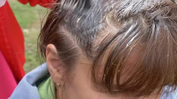 Mujer Aplicando Tinte Para Cabello Cabeza Con Cepillo — Vídeos de Stock